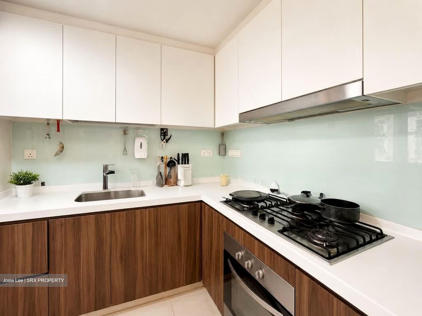 Riversound Residence (D19), Condominium #577020381